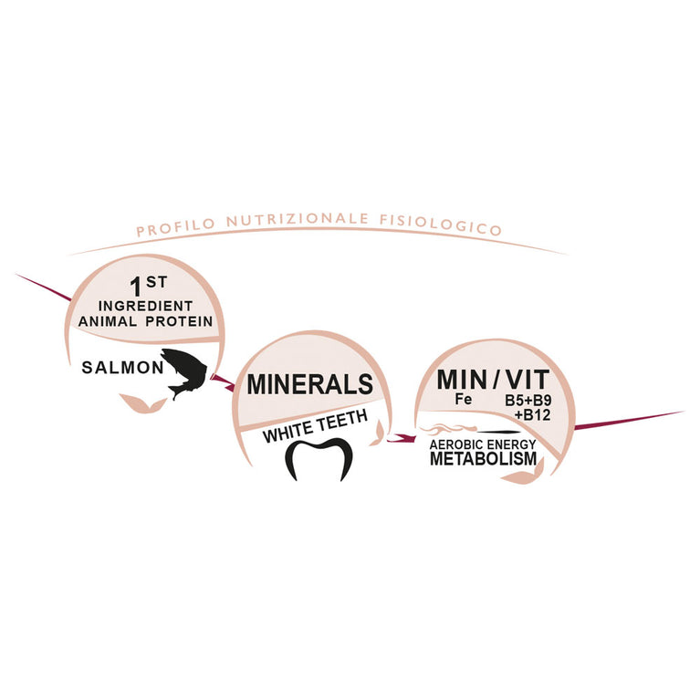 CROCCHETTE PER CANI--ADULT MINI TONIC - SALMONE UNICA CLASSE 2kg