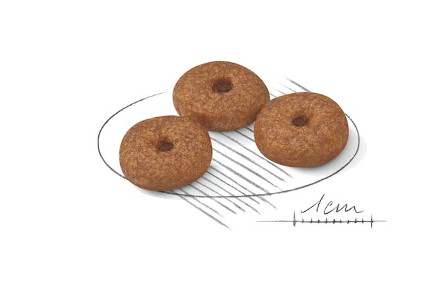 ROYAL CANIN MINI AGEING 12+