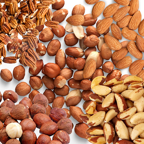 MIX DI NOCI NATURALI PREMIUM PER PAPPAGALLI VAESEN