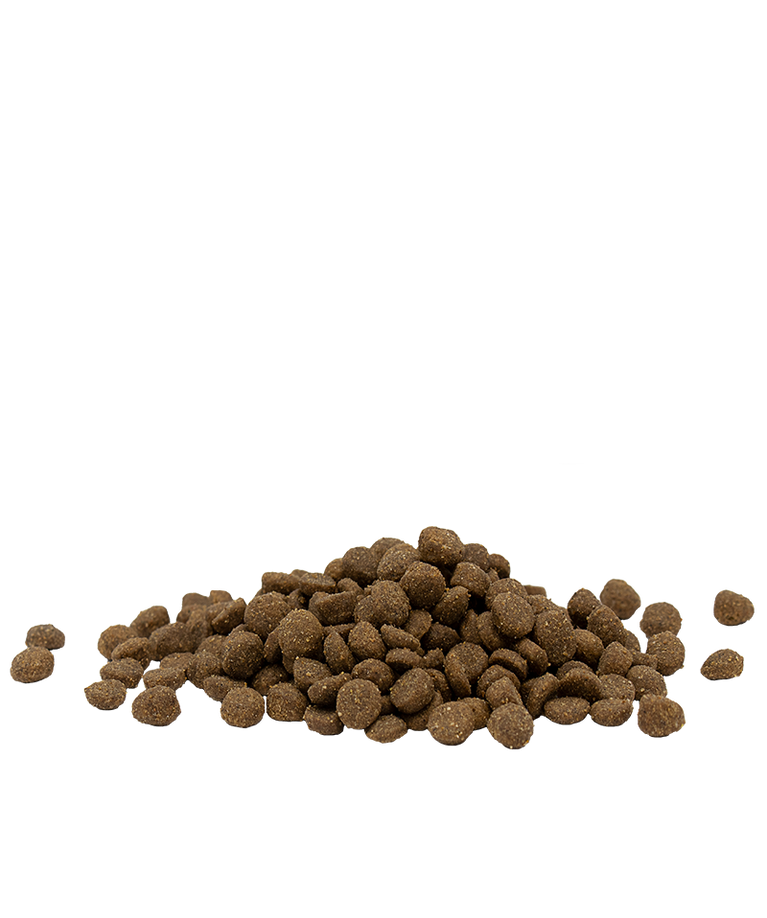 OPTI LIFE ADULT CHICKEN 90% PROTEINE ANIMALI VERSELE-LAGA - Sanny Passione Ornitologica