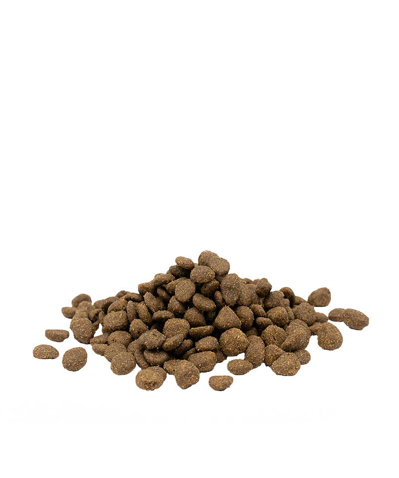 OPTI LIFE ADULT SENSITIVE WITH SALMON 80% DI PROTEINE ANIMALI GRAIN FREE - Sanny Passione Ornitologica