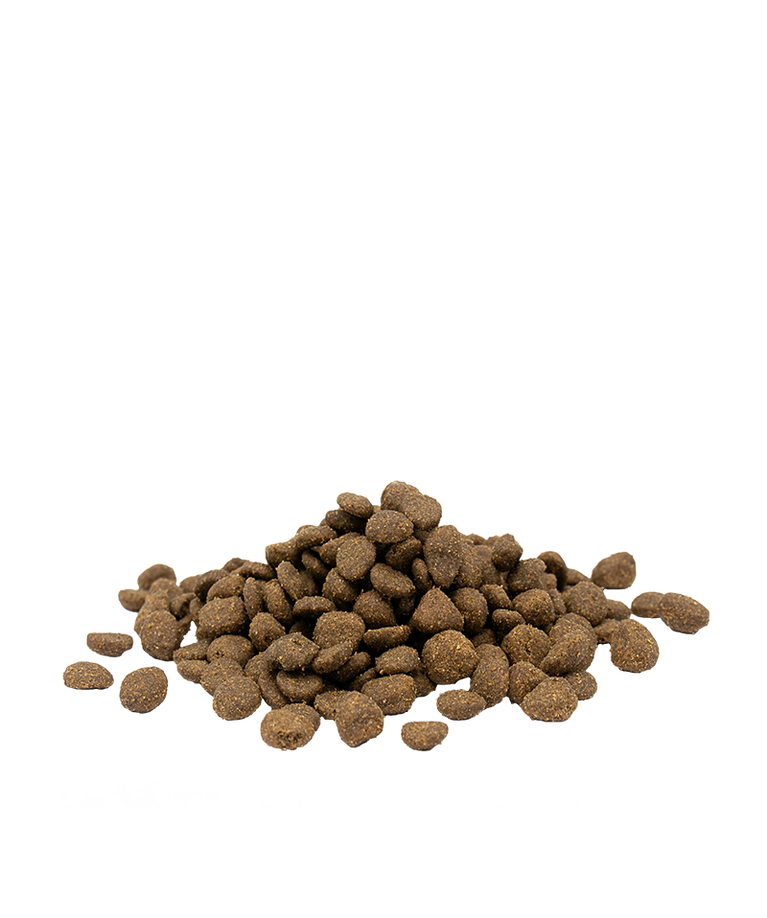 OPTI LIFE ADULT SENSITIVE WITH SALMON 80% DI PROTEINE ANIMALI GRAIN FREE - Sanny Passione Ornitologica