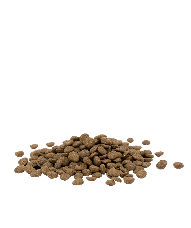 OPTI LIFE ADULT STERILISED LIGHT - Sanny Passione Ornitologica