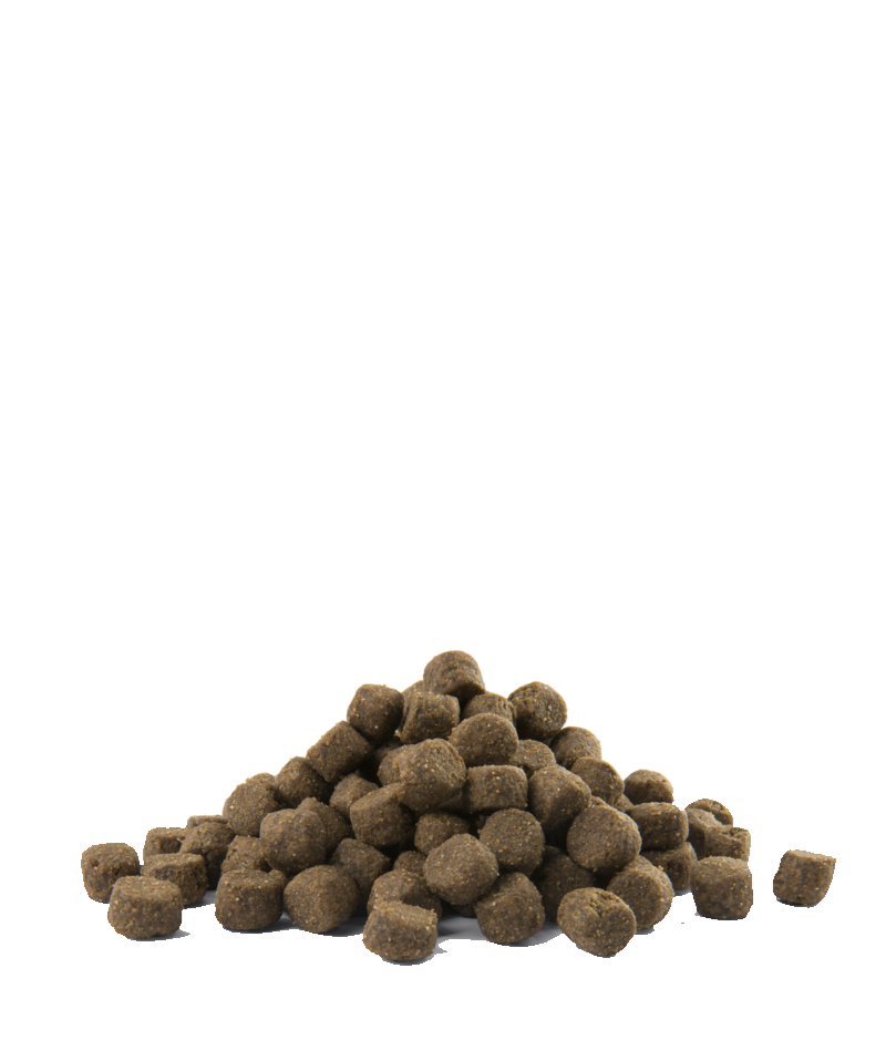 OPTI LIFE ALL BREEDS ADULT CHICKEN 60% PROTEINE ANIMALI 40% LEGUMI VERSELE-LAGA - Sanny Passione Ornitologica