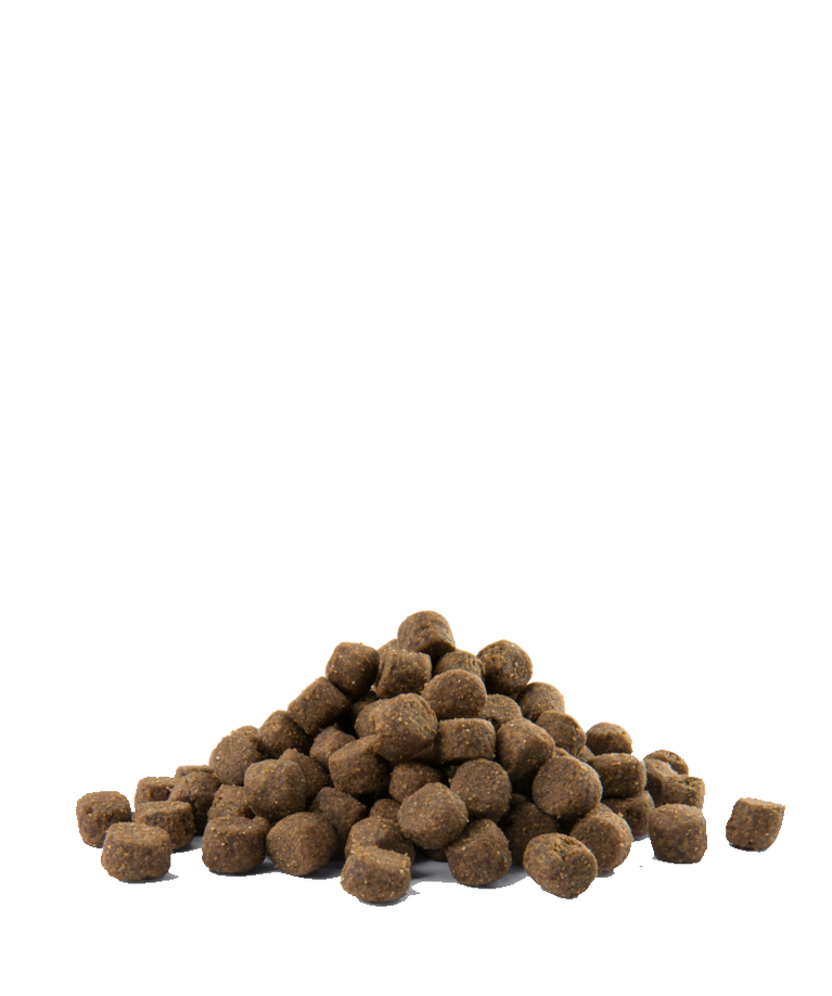 OPTI LIFE ALL BREEDS ADULT CHICKEN 60% PROTEINE ANIMALI 40% LEGUMI VERSELE-LAGA - Sanny Passione Ornitologica