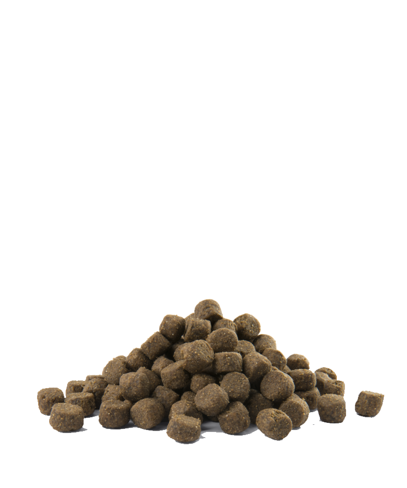 OPTI LIFE ALL BREEDS ADULT SALMON 60% PROTEINE ANIMALI 40% LEGUMI VERSELE-LAGA - Sanny Passione Ornitologica