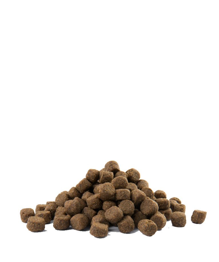 OPTI LIFE ALL BREEDS ADULT SALMON 60% PROTEINE ANIMALI 40% LEGUMI VERSELE-LAGA - Sanny Passione Ornitologica