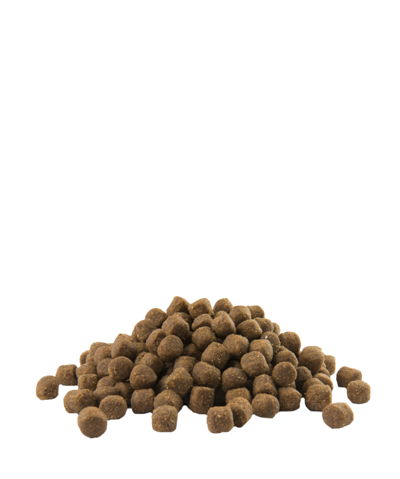 OPTI LIFE ALL BREEDS PUPPY SENSITIVE 81% VERSELE-LAGA - Sanny Passione Ornitologica