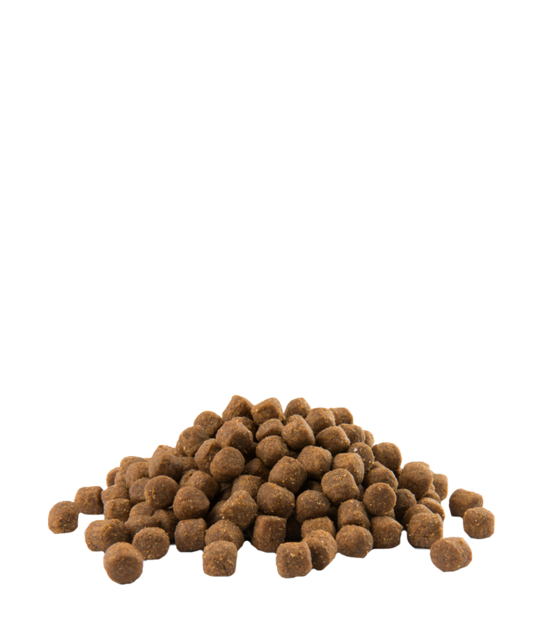 OPTI LIFE ALL BREEDS PUPPY SENSITIVE 81% VERSELE-LAGA - Sanny Passione Ornitologica