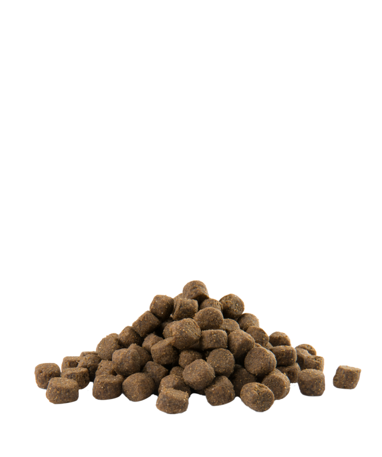 ADULT SKIN MAXI MEDIUM CARE SALMON AND RICE OPTI LIFE 12kg - Sanny Passione Ornitologica