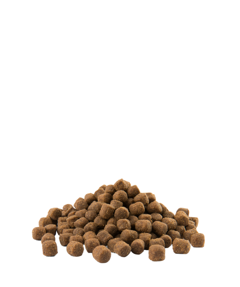 OPTI LIFE MINI ADULT DIGESTION LAMB RICE - Sanny Passione Ornitologica