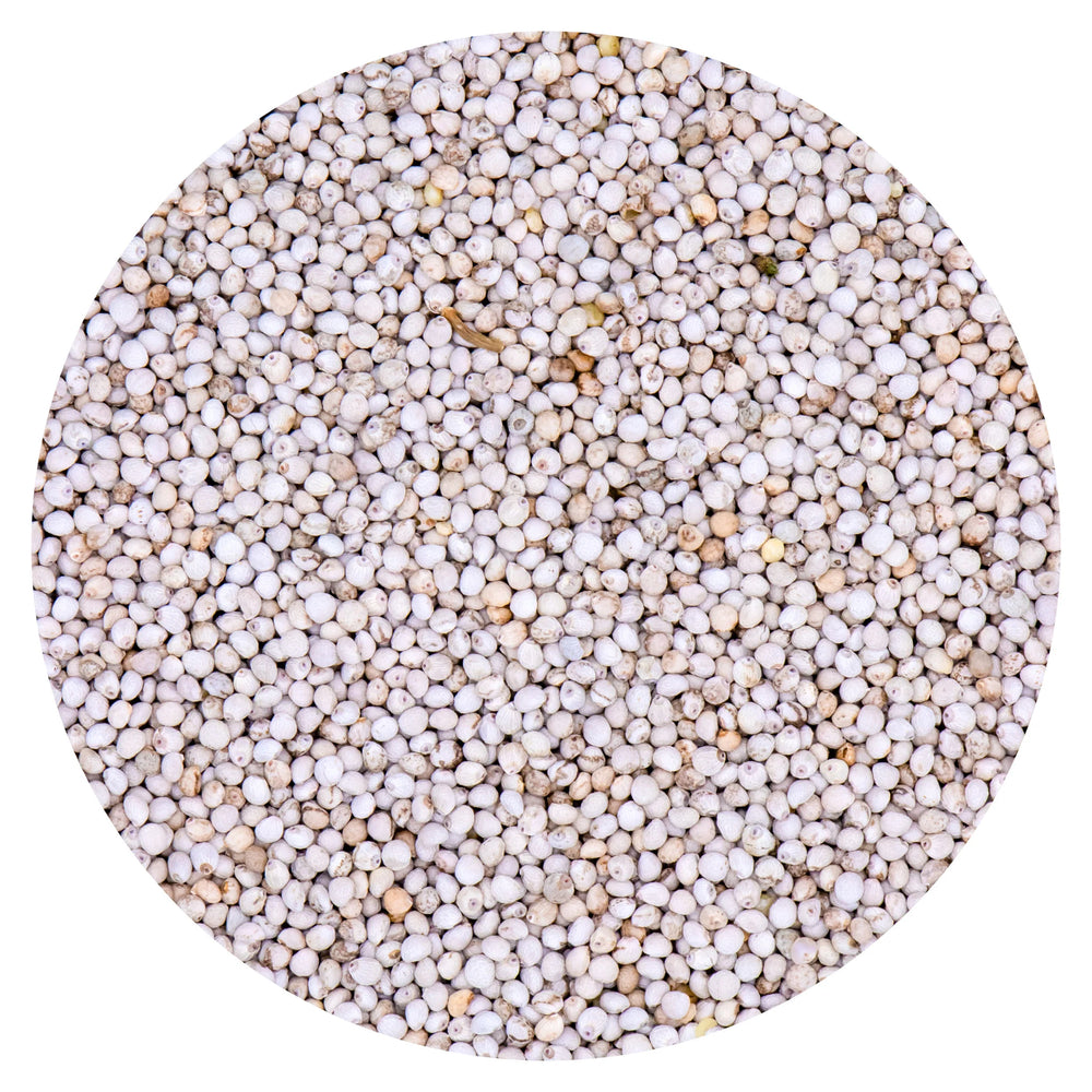 SEMI DI PERILLA BIANCA VAESEN