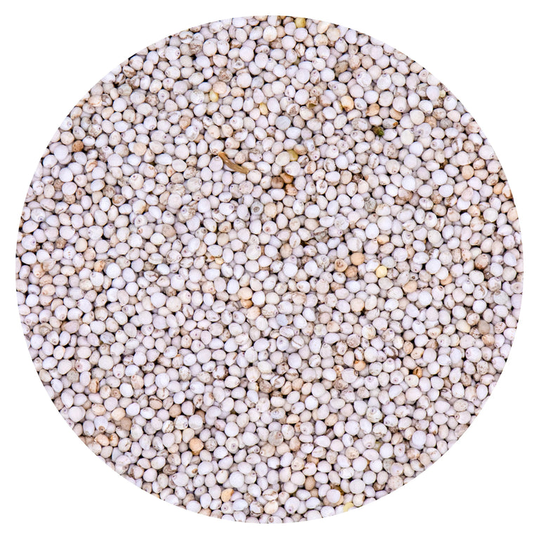 SEMI DI PERILLA BIANCA VAESEN