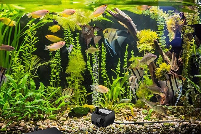 DN-3200 Pompa sommergibile per acquario 5w max 300L/H fontana laghetto sienziosa