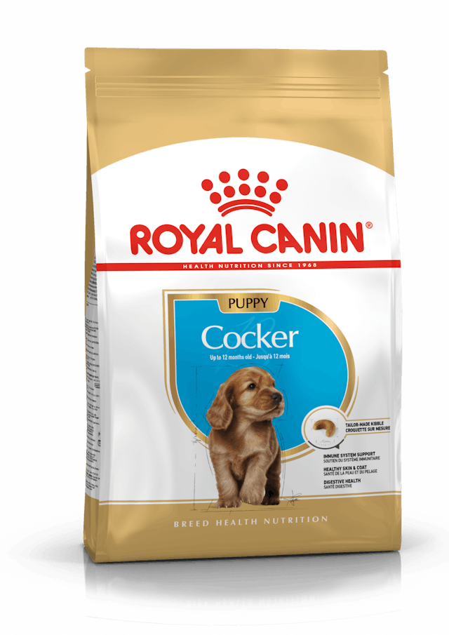 ROYAL CANIN PUPPY COCKER
