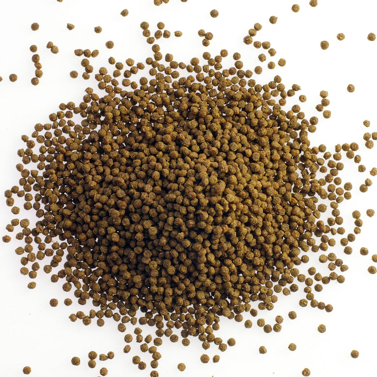 Pro NATURE Tropical Granuli a base di farina di insetti EURAQUARIUM