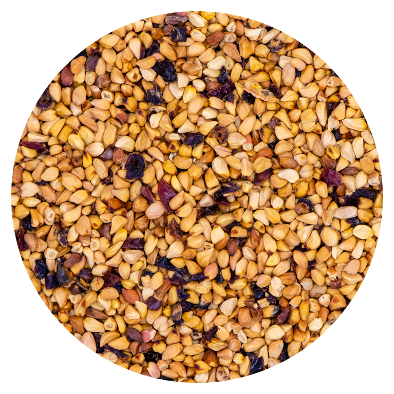 SEMI DI ROSA CANINA VAESEN