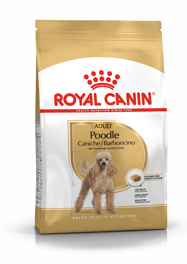 ROYAL CANIN ADULT POODLE