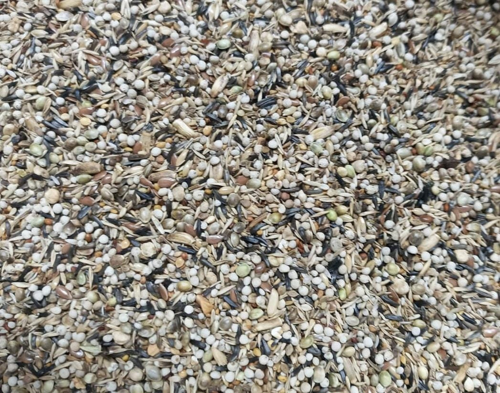 CARDELLINI VAESEN 208 un