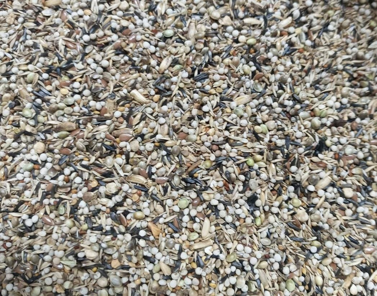 CARDELLINI VAESEN 208 un