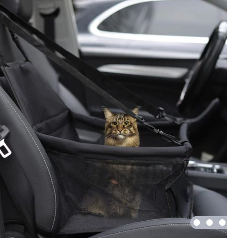 SEGGIOLINO AUTO PER ANIMALI(cane/gatto) - Sanny Passione Ornitologica