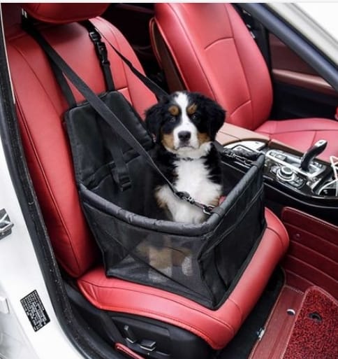 SEGGIOLINO AUTO PER ANIMALI(cane/gatto) - Sanny Passione Ornitologica