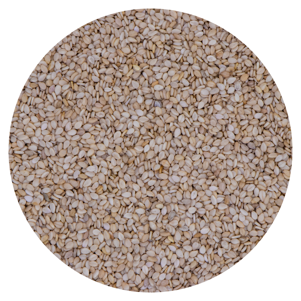 SEMI DI SESAMO VAESEN