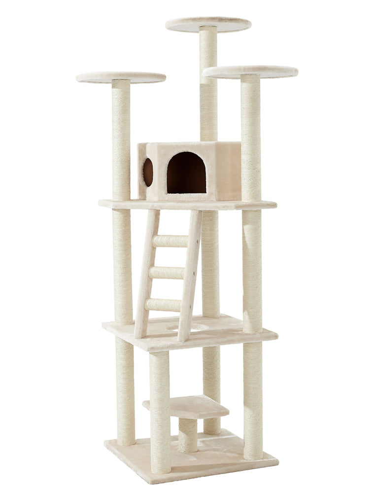 TITAGRAFFI SULTANO XXL (NOBBY)