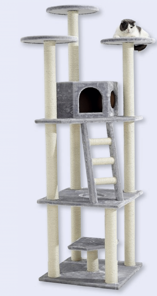 TITAGRAFFI SULTANO XXL (NOBBY)