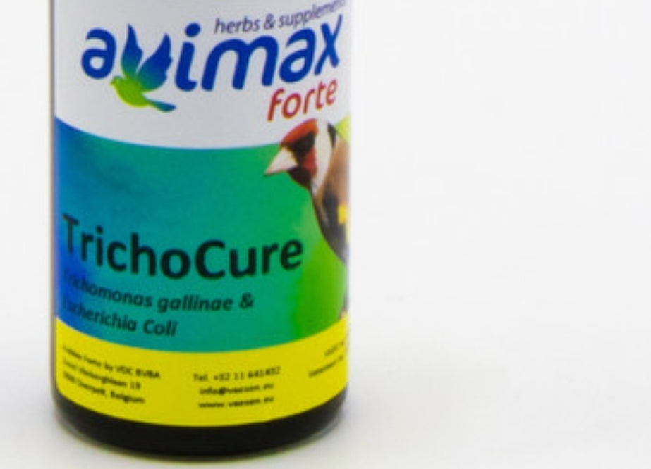 TRICHO CURE AVIMAX-FORTE (Trichomonas gallinae & Escherichia Coli) 50ml