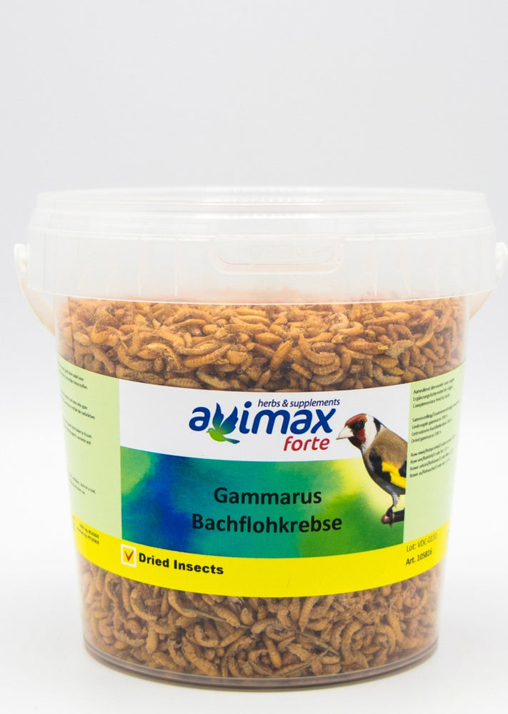 GAMMARUS GAMBERETTI ESSICCATI