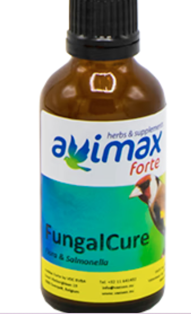 Fungal Cure Supporto Micosi e Mega batteriosi Avimax Forte 50ml