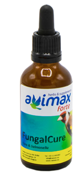 Fungal Cure Supporto Micosi e Mega batteriosi Avimax Forte 50ml