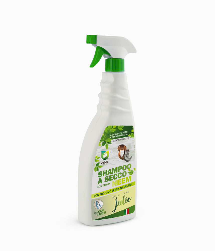SHAMPOO A SECCO CON OLIO DI NEEM