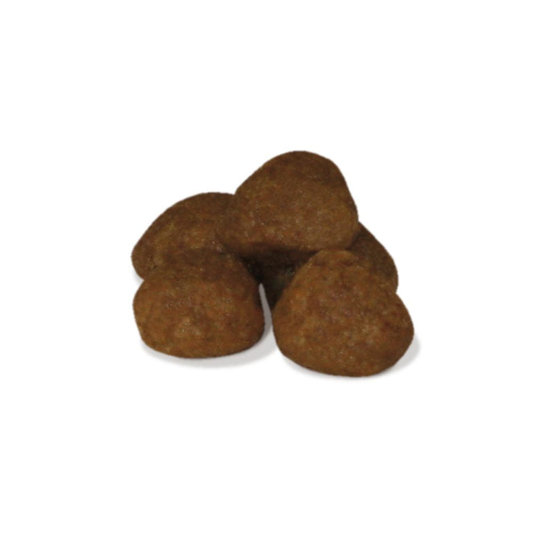 UNICA CLASSE CROCCANTINI TONNO ADULT STERILIZZATO 1-12 ANNI