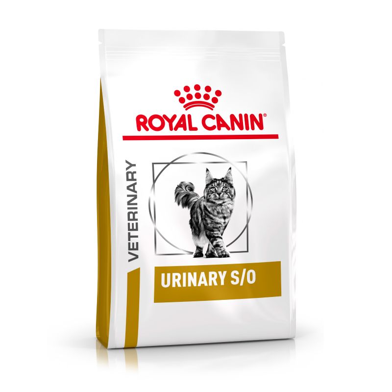 ROYAL CANIN URINARY GATTO S/O