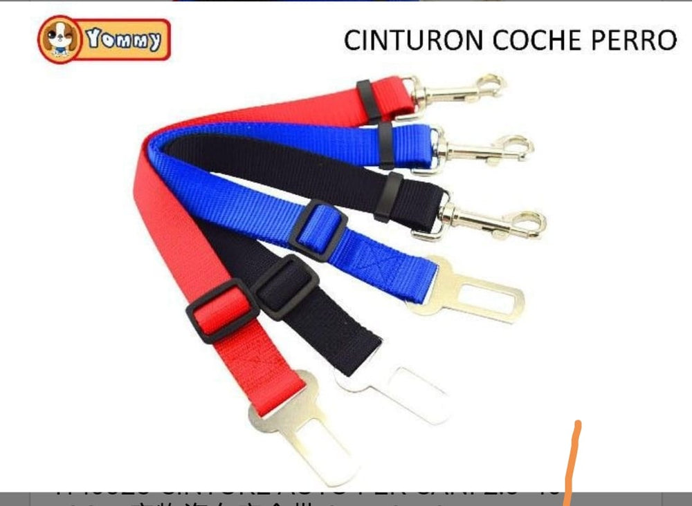 CINTURA DI SICUREZZA VARI COLORI