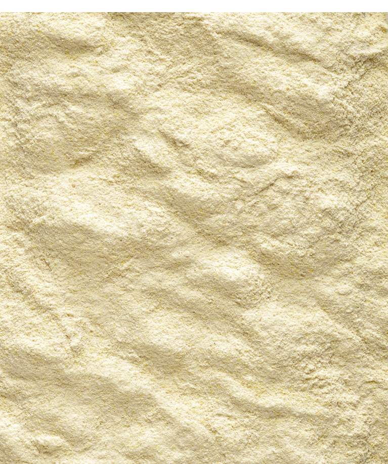 NUTRIBIRD A19 VERSELE-LAGA