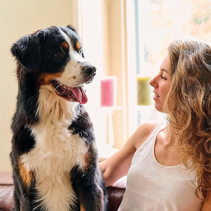 BEAPHAR Spray Breath Dog Fresh e Cat 150ml, Nero, Standard per alitosi