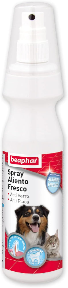 BEAPHAR Spray Breath per alitosi è un prodotto facile da usare per mantenere fresca la bocca del cane e aiutare nella pulizia dei denti. Più efficace se usato con un normale regime di spazzolatura con dentifricio Beaphar Formulato per migliorare la respirazione del tuo animale domestico in circa due settimane.