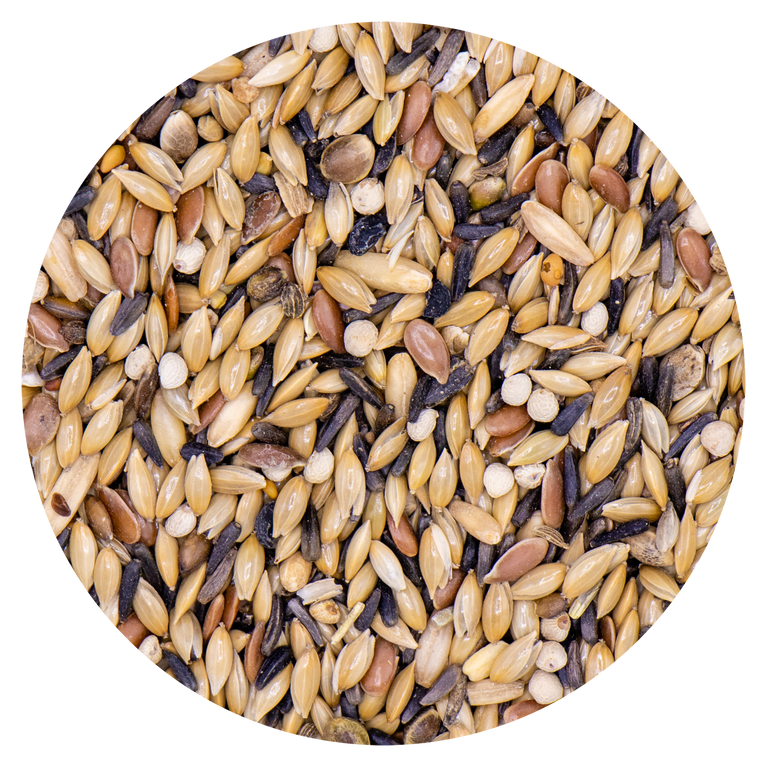 MISCELA CANARINI CON PERILLA 7 SEMI SENZA COLZA 16 VAESEN