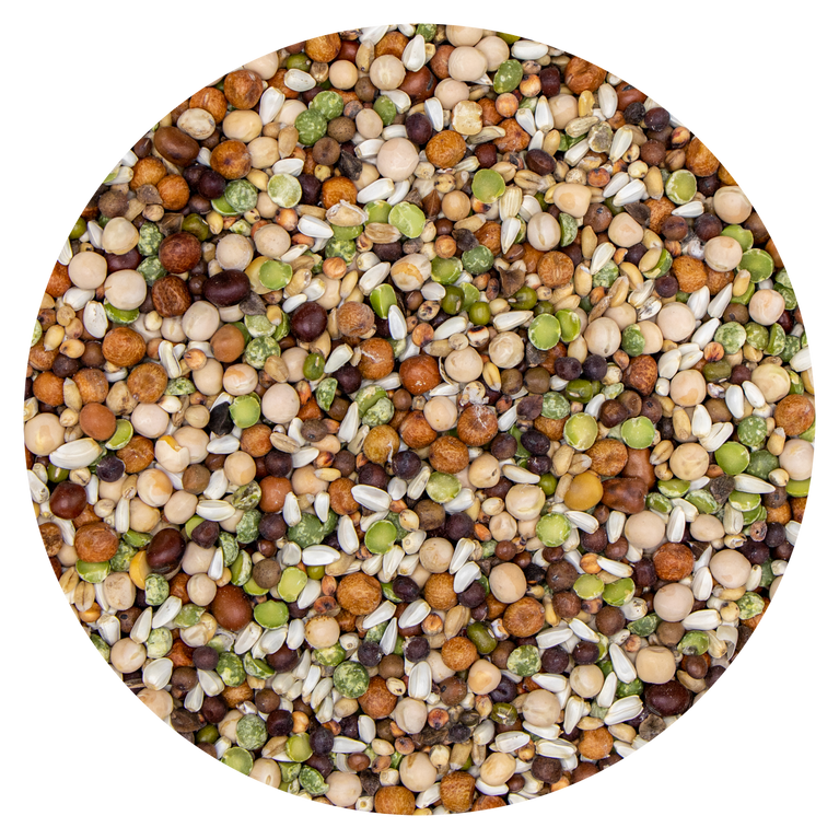 LEGUMI GERMINABILI ALTA GERMINAZIONE PER PAPPAGALLI MISCELA LEGUMI 247 VAESEN
