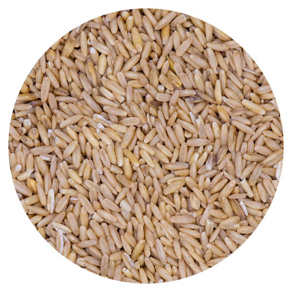 SEMI DI AVENA DECORTICATA VAESEN