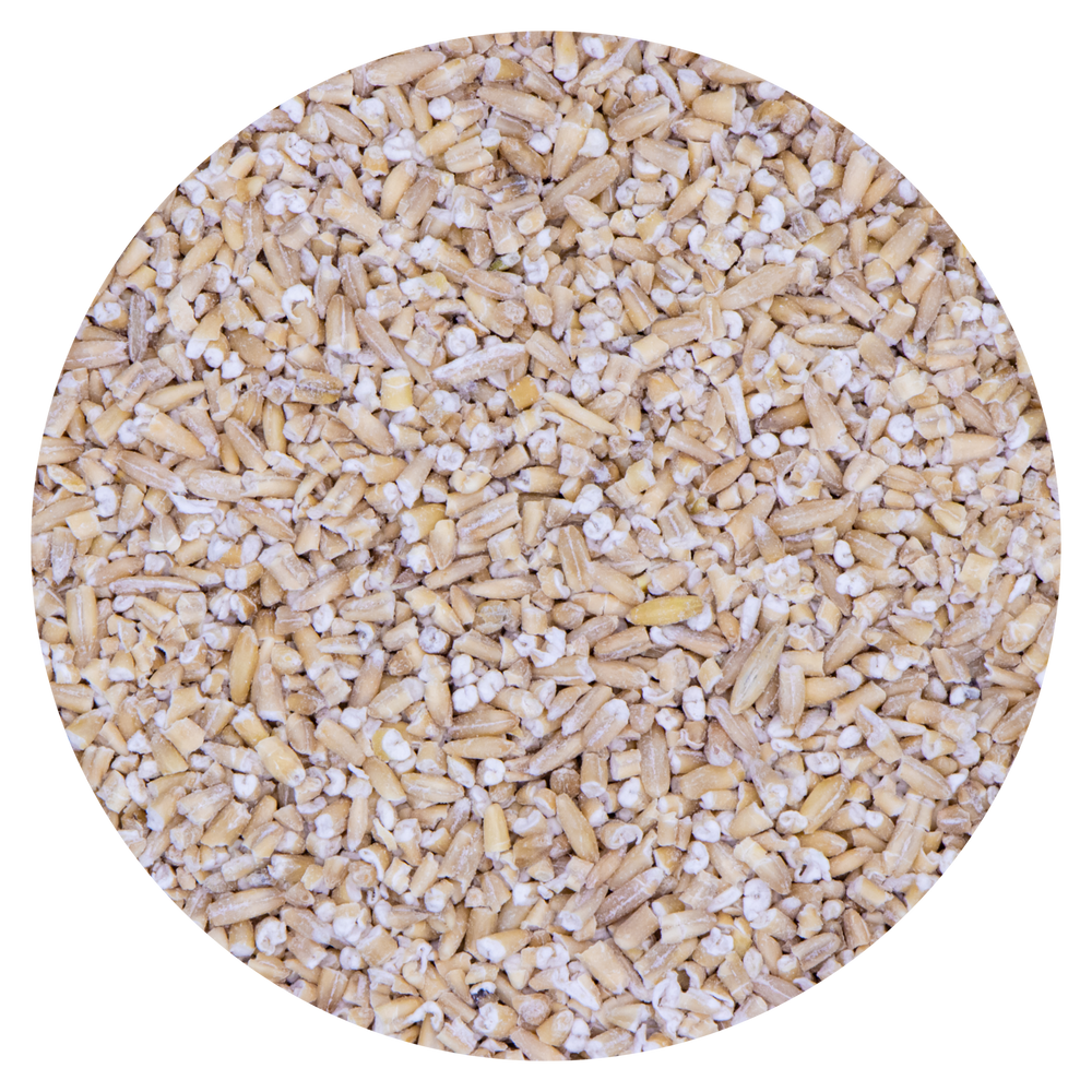 SEMI DI AVENA DECORTICATA SPEZZETTATA VAESEN