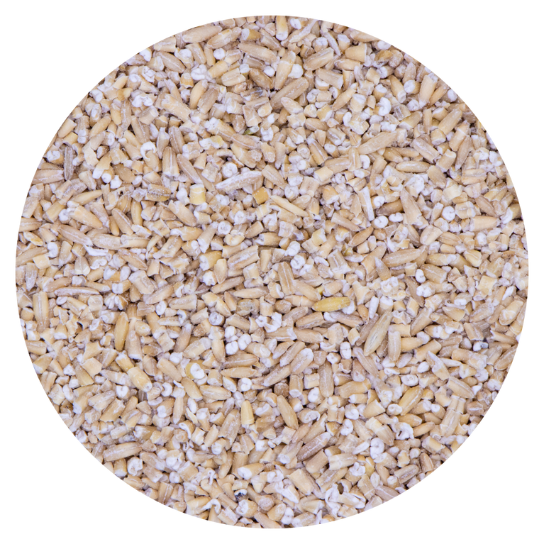 SEMI DI AVENA DECORTICATA SPEZZETTATA VAESEN - Sanny Passione Ornitologica