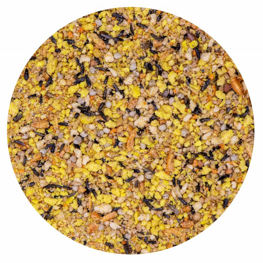 Pastoncino Secco con buffalo e gamberetti AVIMAX