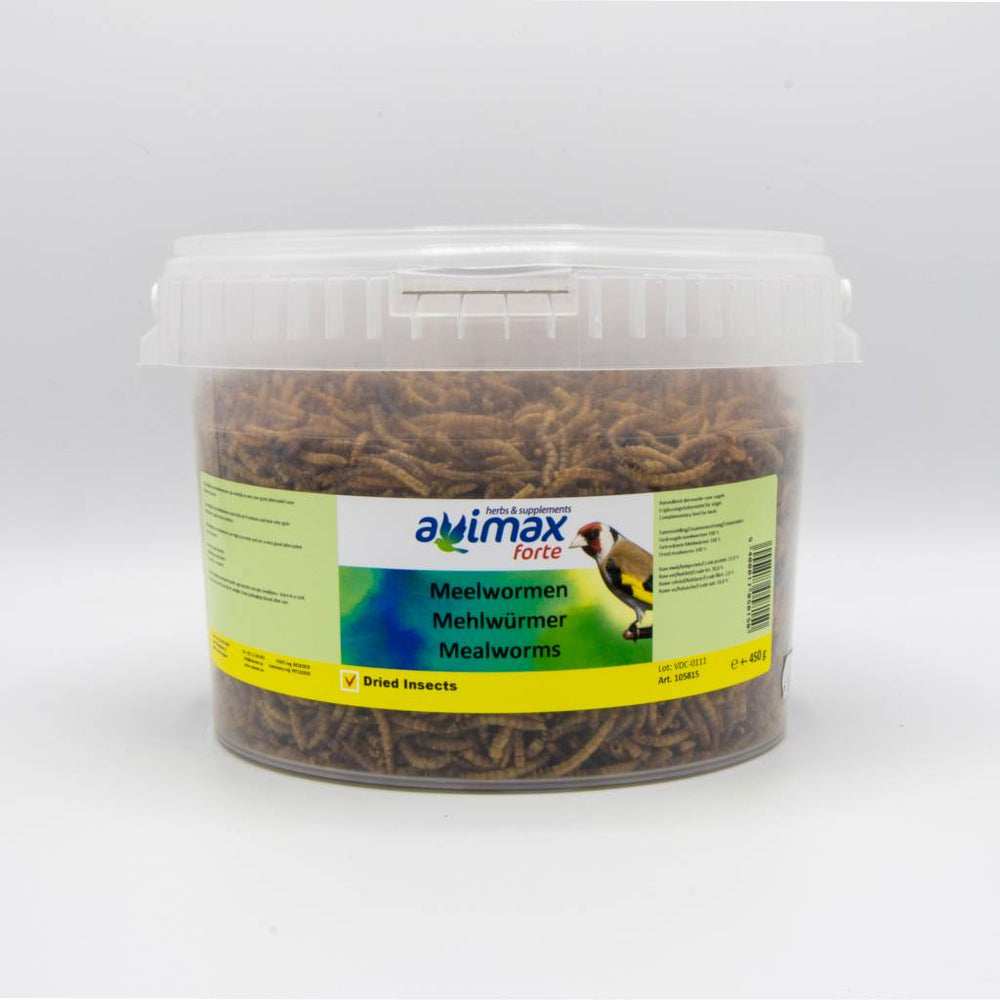 MEALWORMS TARME DELLA FARINA AVIMAX FORTE