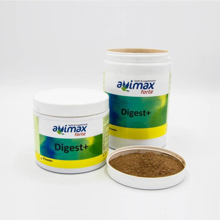 DIGEST + AVIMAX FORTE