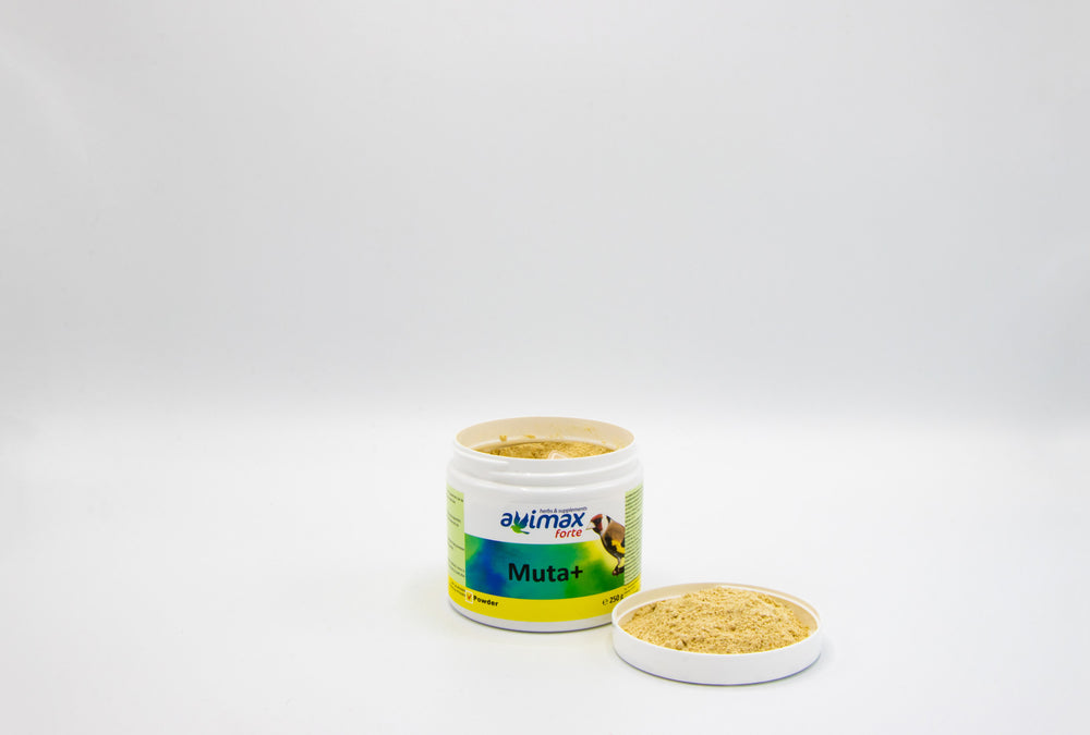 MUTA + AVIMAX FORTE 125gr