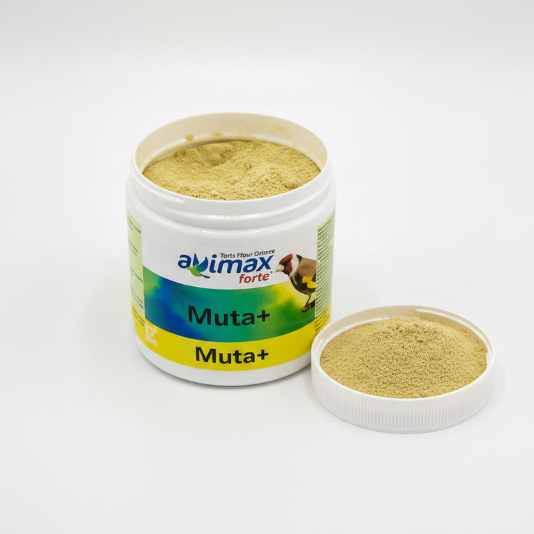 AviMax Forte Muta+ – Integratore Vitaminico per la Muta degli Uccelli 125g - Sanny Passione Ornitologica